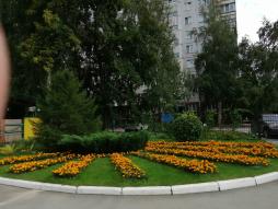 территория